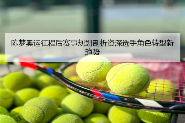 陈梦奥运征程后赛事规划剖析资深选手角色转型新趋势
