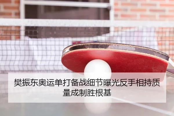樊振东奥运单打备战细节曝光反手相持质量成制胜根基 - XK app